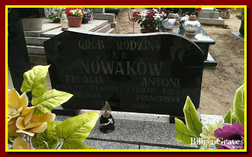 Nowak P.A.P.F.